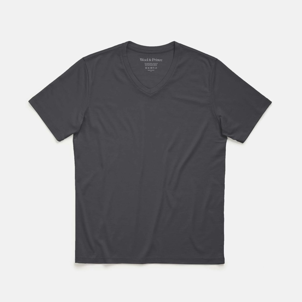 Gray Short Sleeve V-Neck Tee
